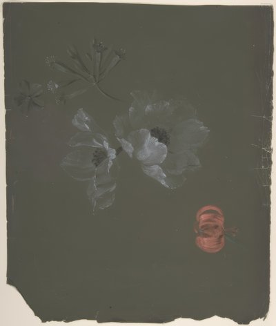 Floraal ontwerp door Antoine Berjon