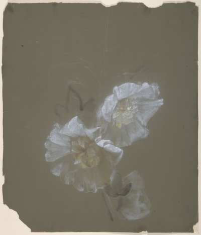 Floraal ontwerp door Antoine Berjon