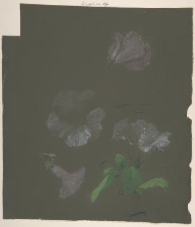 Floraal ontwerp door Antoine Berjon