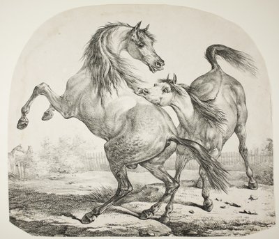Wilde paarden vechten, c.1820 door Antoine Charles Horace Vernet