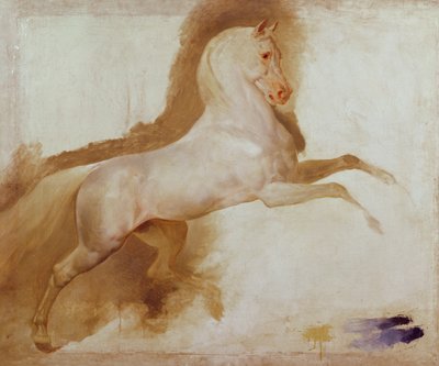 Paard van Joachim Murat door Antoine Jean Gros