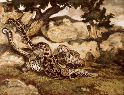 Een python doodt een tijger door Antoine Louis Barye