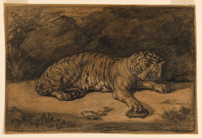 Een tijger en een schildpad door Antoine Louis Barye