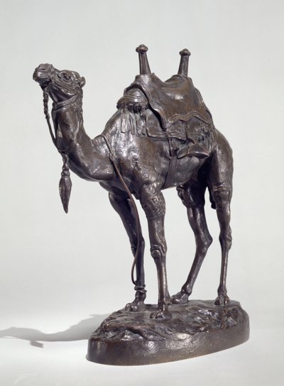 Egyptische Dromedaris met Harnas door Antoine Louis Barye
