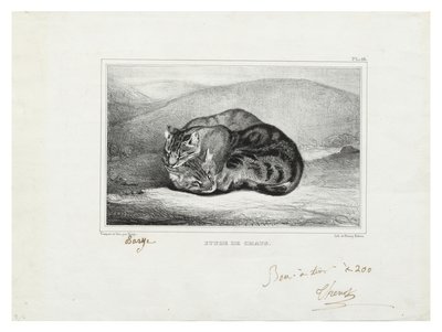 Étude de chats door Antoine Louis Barye