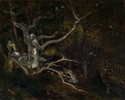 Bos van Fontainebleau, De "Reine Blanche" (1860) door Antoine Louis Barye
