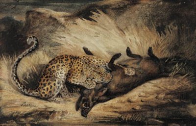 Luipaard eet een wild zwijn door Antoine Louis Barye