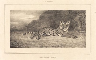 Studie van een tijger door Antoine Louis Barye