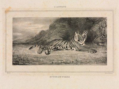 Studie van een Tijger door Antoine Louis Barye