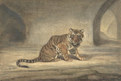 Tijger, 1810-75 door Antoine Louis Barye
