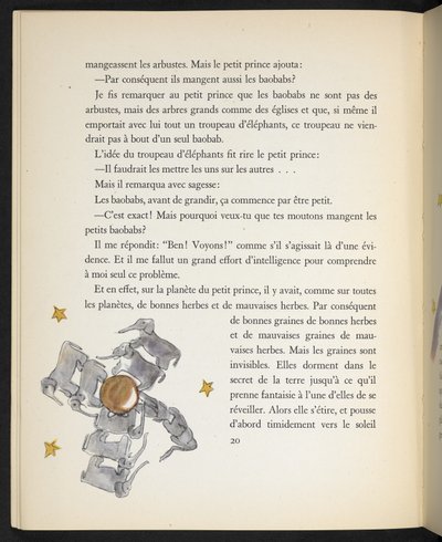 Olifanten, illustratie uit 
