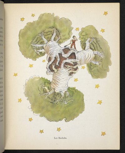 De Baobabs, illustratie uit 