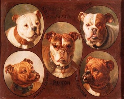 Nell, Dido, Punch, Maggie Lauder en Alexander, Engelse Bulldogs door Antoine or Tony Dury