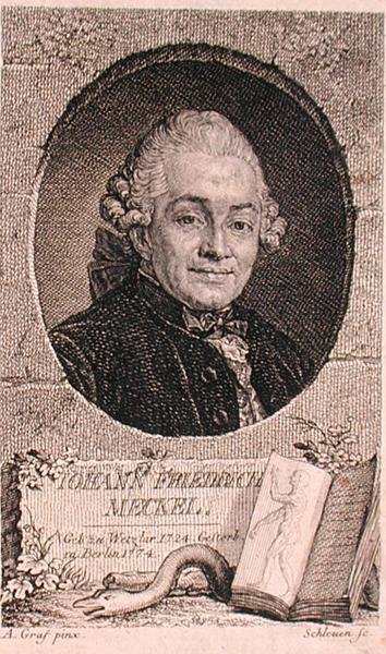 Portret van Johann Friedrich Meckel (1724-76) gegraveerd door John Schleuen (gravure) door Anton (after) Graff