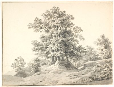 Landschap met grote bomen bij de Elbe. Buxtehude door Anton Carl Dusch