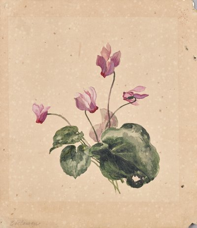 Cyclamen door Anton Hartinger