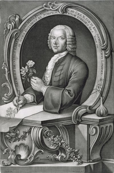 Portret van Georg Dionysius Ehret, gegraveerd door Johann Jakob Haid door Anton Heckel