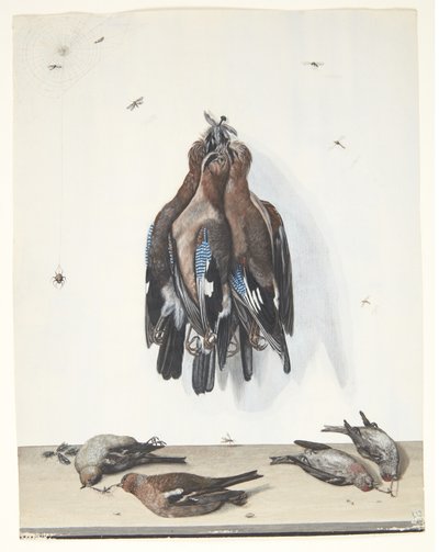 Stilleven met vogels door Anton Ignaz Hamilton