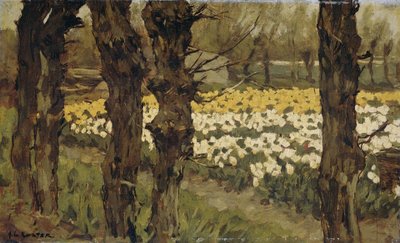 Tulpenvelden door Anton L. Koster