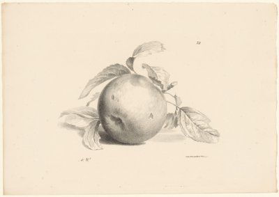 Appel door Anton Weiss