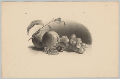 Appels, bessen, braam en druiven door Anton Weiss