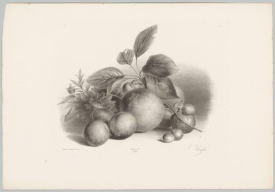 Bloemen, nectarines en hazelnoten door Anton Weiss