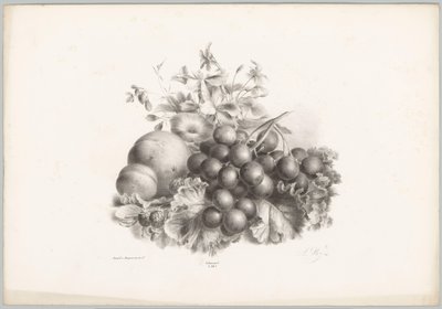 Bloemen, perzik, nectarine, druiven en bramen door Anton Weiss