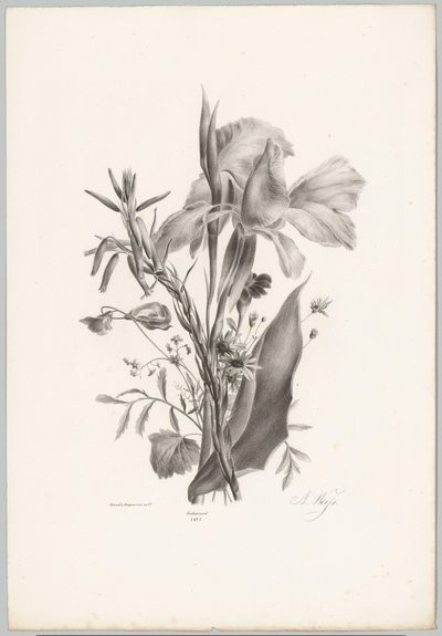 Diverse bloemen door Anton Weiss