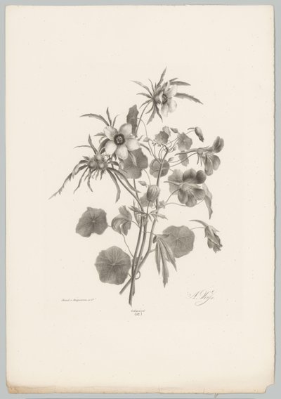 Diverse bloemen door Anton Weiss