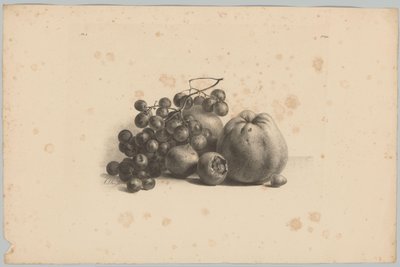 Druiven en appels door Anton Weiss