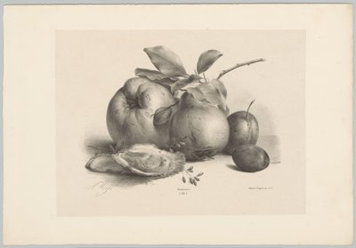 Fruit, pruimen en oesters door Anton Weiss