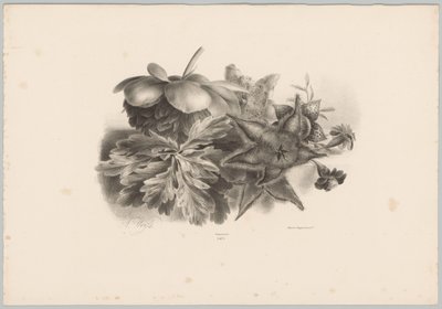 Passiebloemen en bladeren door Anton Weiss