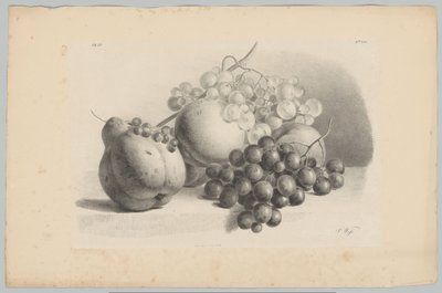 Pompoen, bessen, druiven en perziken door Anton Weiss