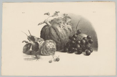 Pompoen, druiven, roos en aardbeien door Anton Weiss