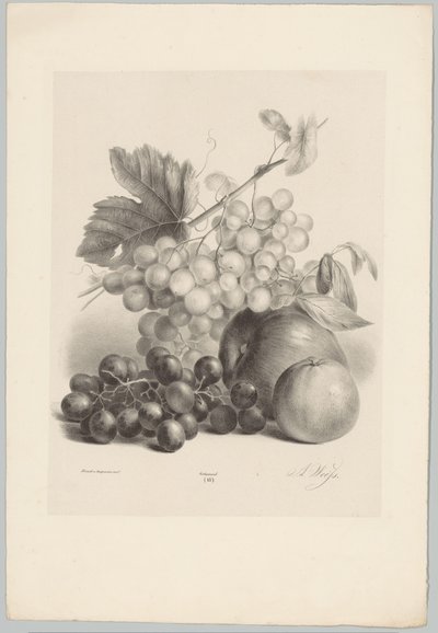 Rode en witte druiven en appels door Anton Weiss