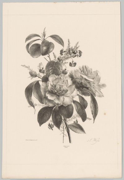 Rozen en andere bloemen door Anton Weiss