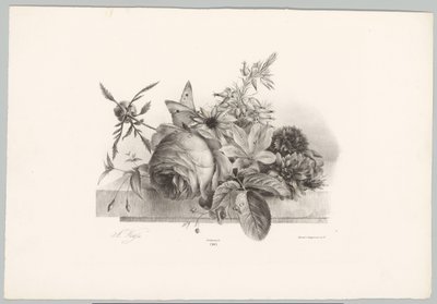 Rozen, lelies, klokvormige bloemen en vlinder door Anton Weiss