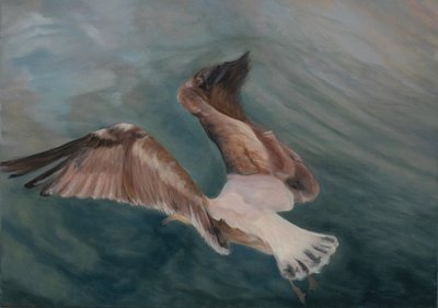 Meeuw komt landen, 2012 door Antonia Myatt