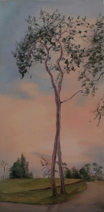 Tapeley Park bomen, 2013 door Antonia Myatt