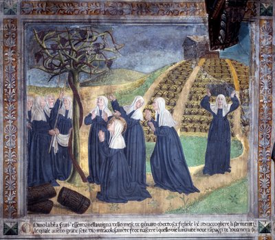Het leven van St. Francesca Romana: De heilige onderhoudt de wijngaard met de zusters en laat druiven verschijnen in januari door Antoniazzo Romano