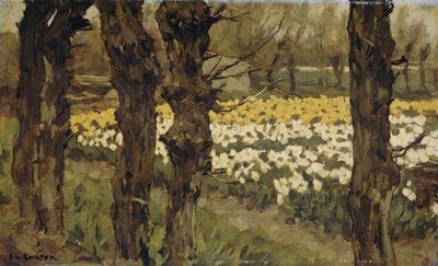 Tulpenvelden door Antonie Louis Koster