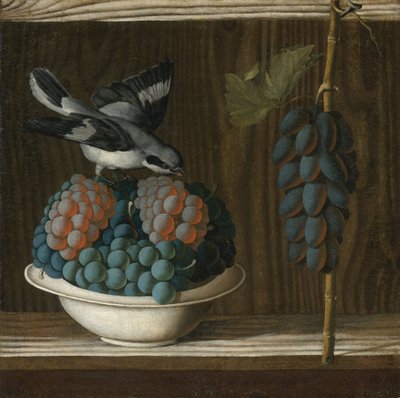 Stilleven met druiven en een grijze klauwier (allegorie van de schilderkunst) door Antonio (fl.1478 1513) Leonelli