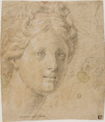 Hoofd van een Vrouw door Antonio Balestra