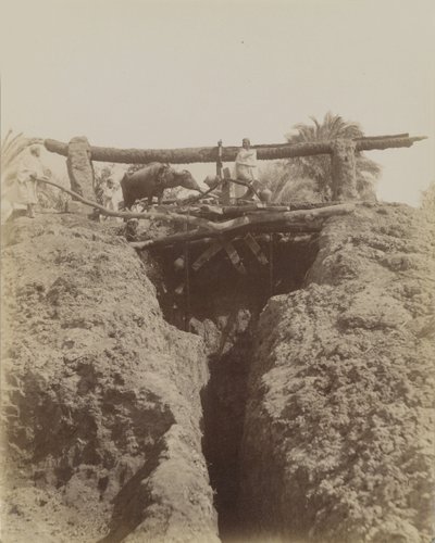 Sehaquieh, Egypte door Antonio Beato