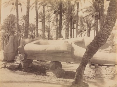 Standbeeld van Ramses in Saqqara door Antonio Beato