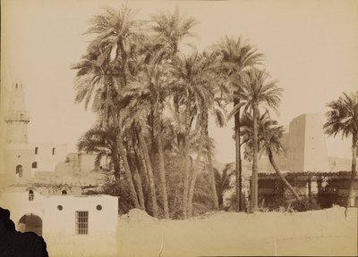[Dorp en Pyloon van Edfu] / [Dorp en Pyloon van Edfou]. door Antonio Beato