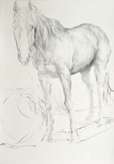 Paard bij Coolmore, 1990 door Antonio Ciccone