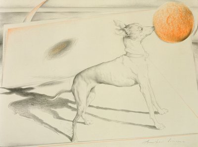 Ruimtehond door Antonio Ciccone