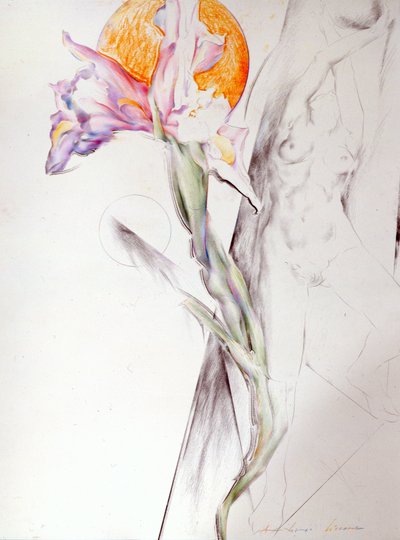 Onbekend schilderij door Antonio Ciccone