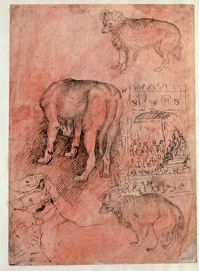 Hondenstudies. Aulisch episode. Tekening door Antonio Pisano, genaamd il Pisanello door Antonio Pisanello